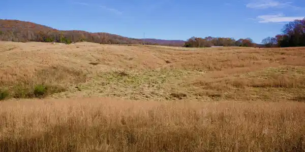 Image 4 Image 4