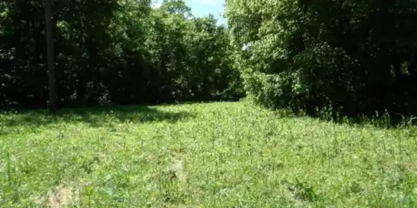 Image 3 Image 3