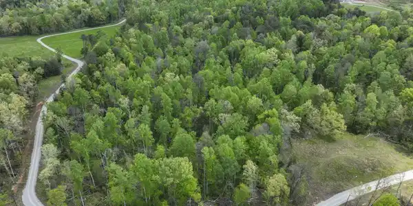 Image 4 Image 4