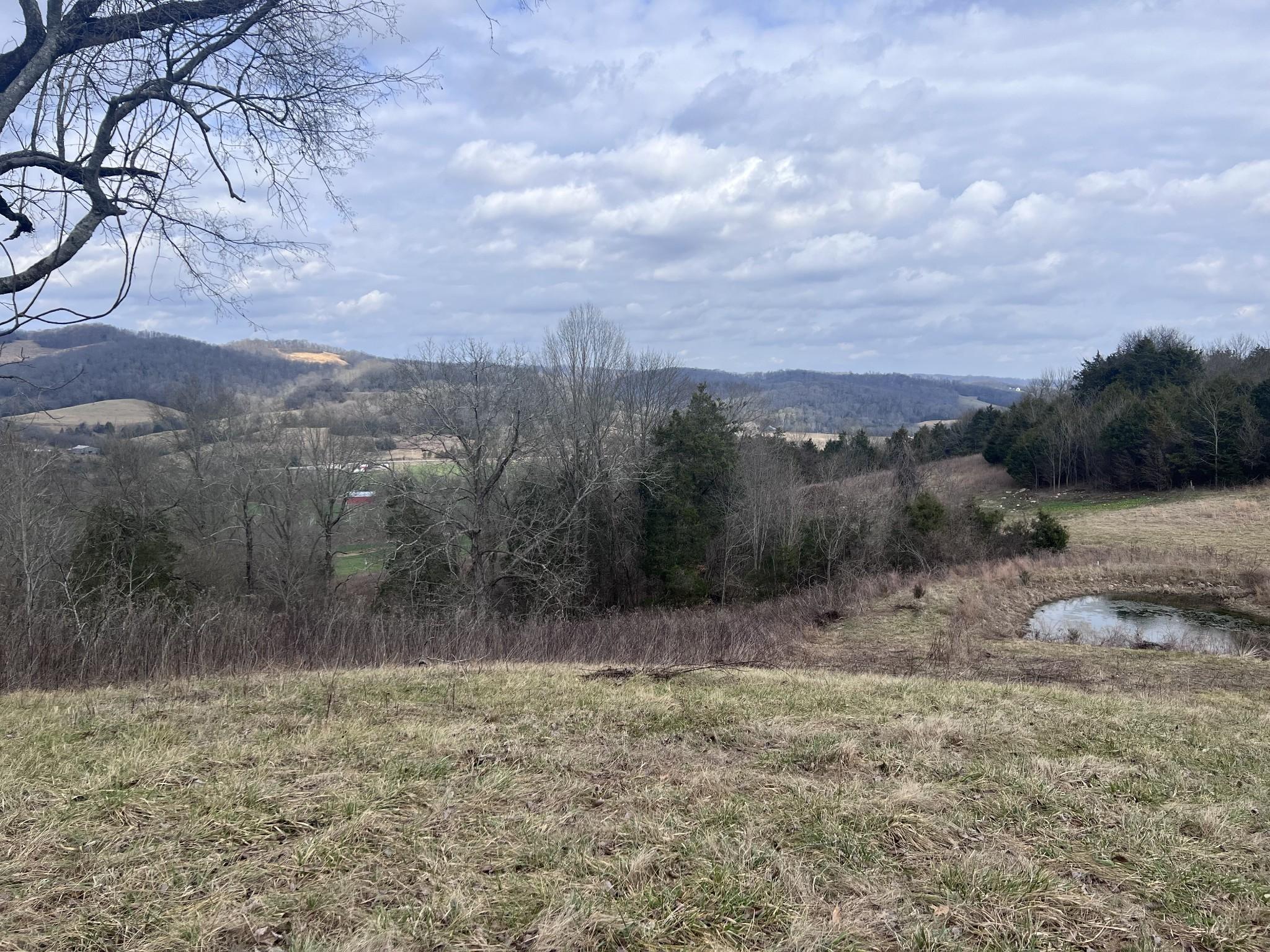 Image 3 Image 3