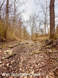 1611 Knob Creek Rd