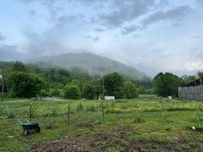 1611 Knob Creek Rd