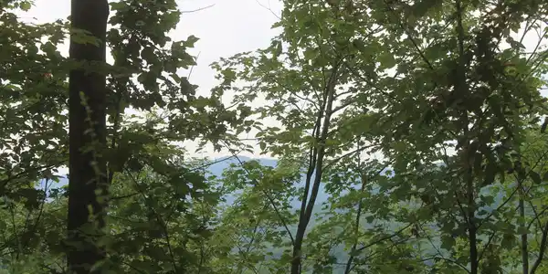 Image 2 Image 2