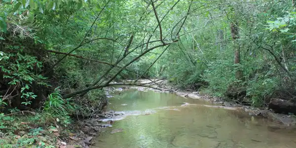 Image 3 Image 3