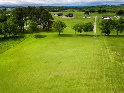 4B Butler Rd