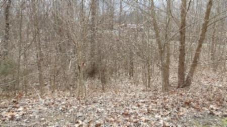 0 Beaver Lane