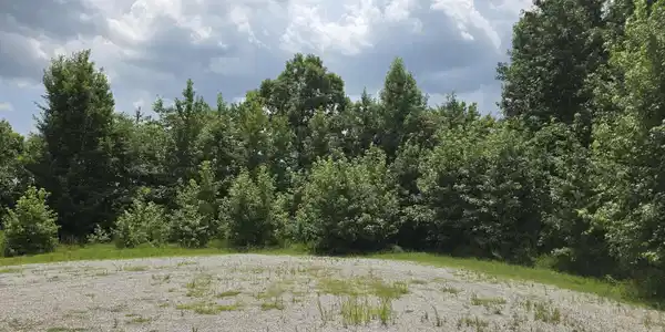Image 4 Image 4