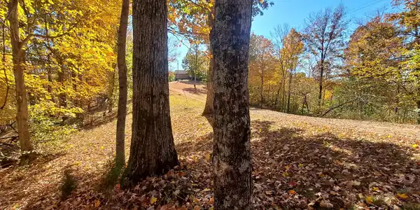 1027 Garland Hollow Rd