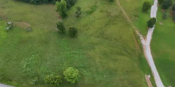 Image 2 Image 2
