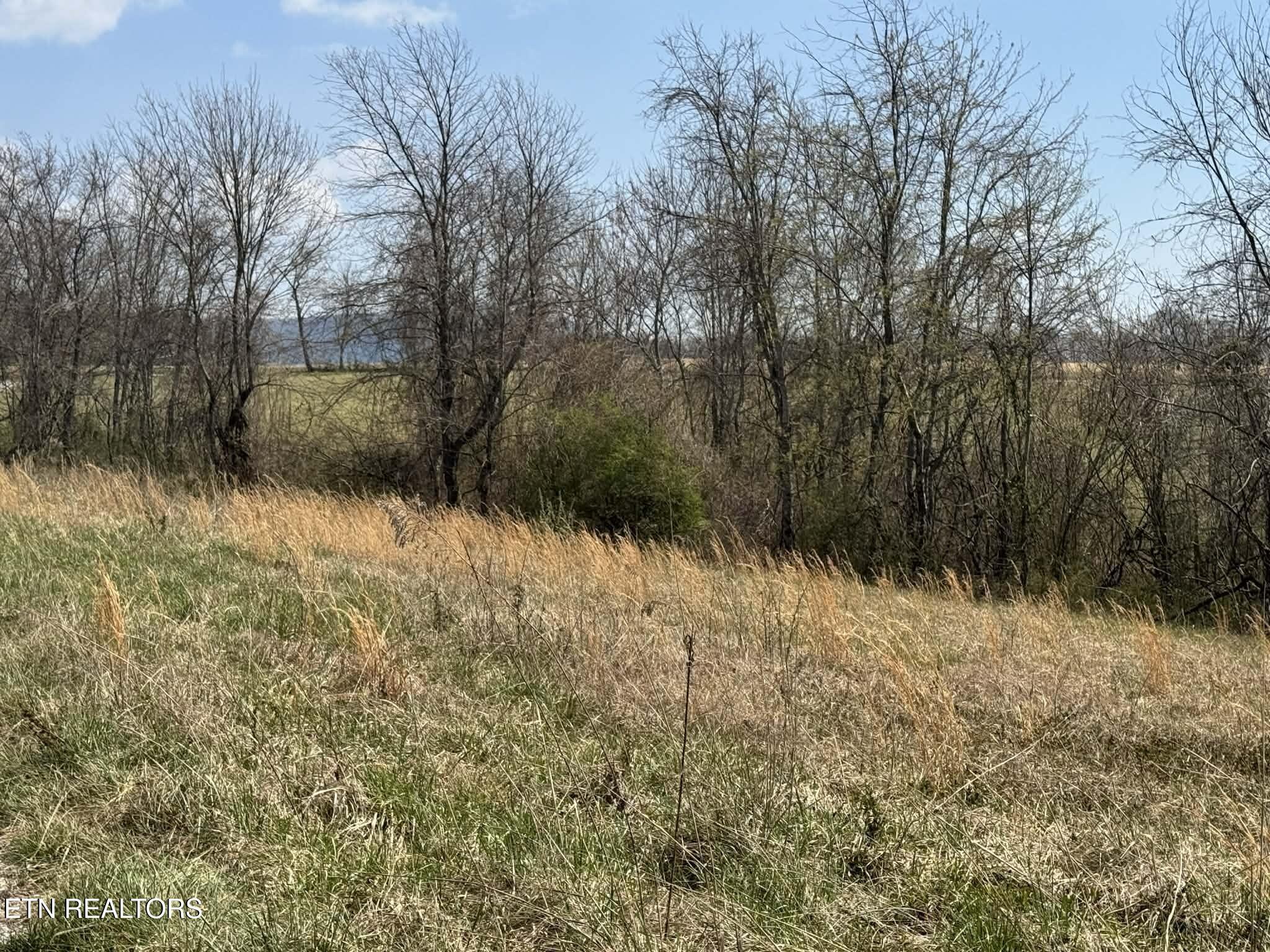 Image 4 Image 4