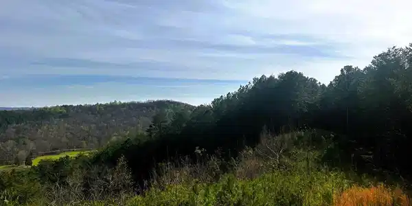 7 SW Owl Hollow Road