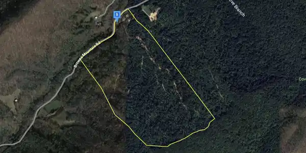 335 Browns Mountain Rd