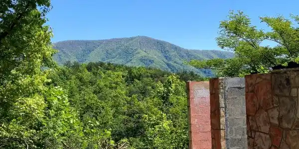 Image 4 Image 4
