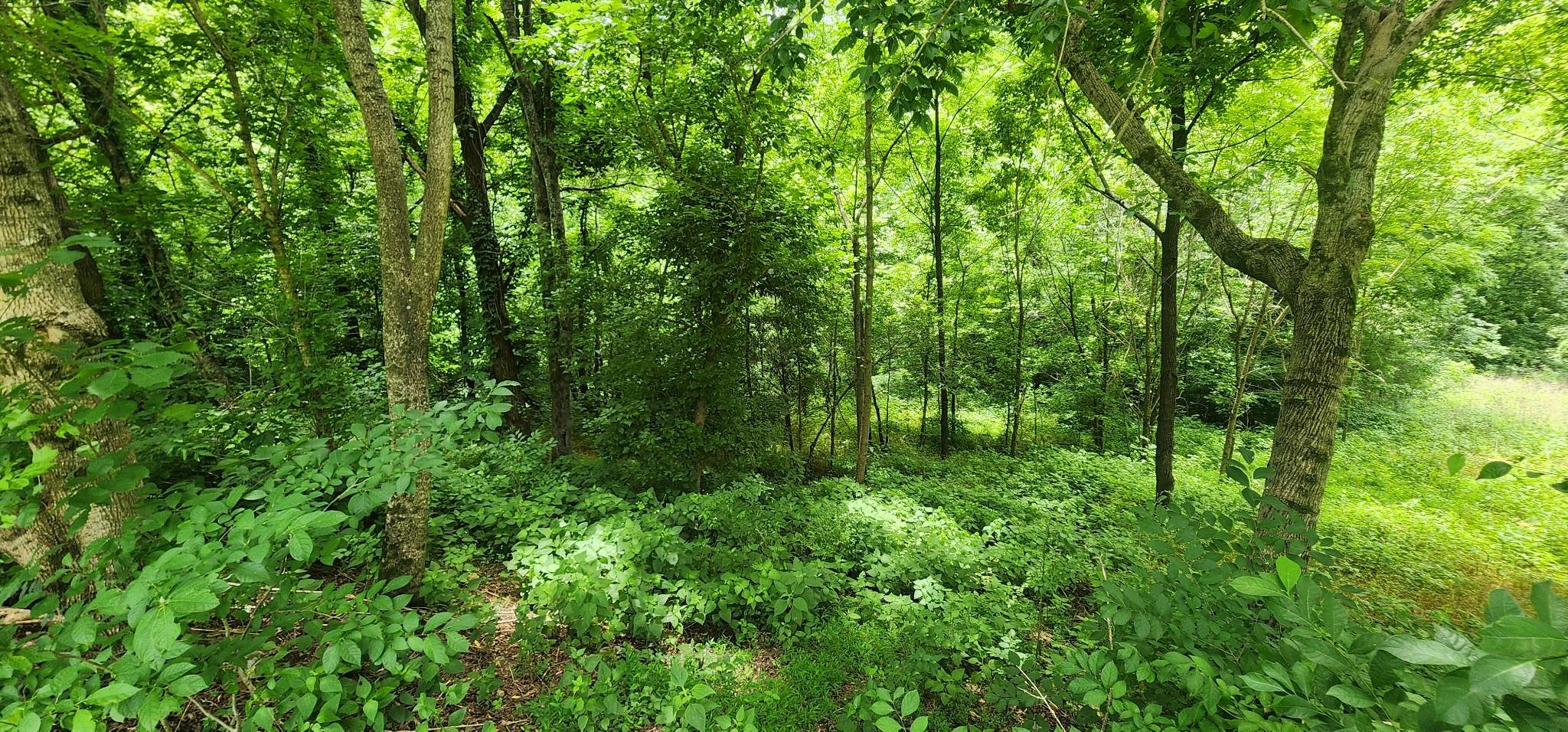 Image 2 Image 2