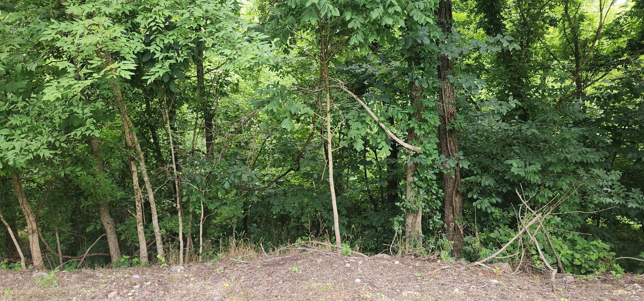 Image 3 Image 3