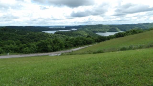 Image 4 Image 4