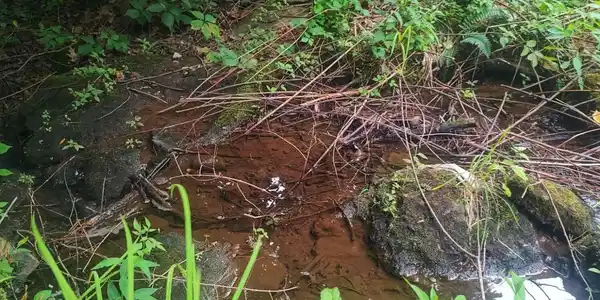 Image 3 Image 3