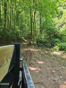 0 Lower Rinehart Road