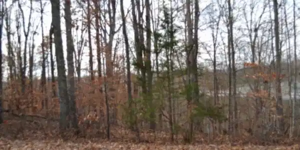 0 Wet Mill Creek Rd