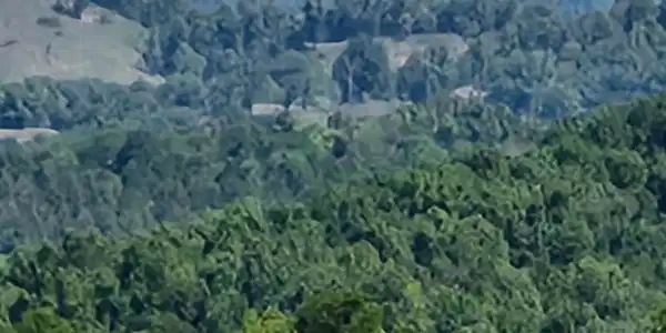 Image 3 Image 3