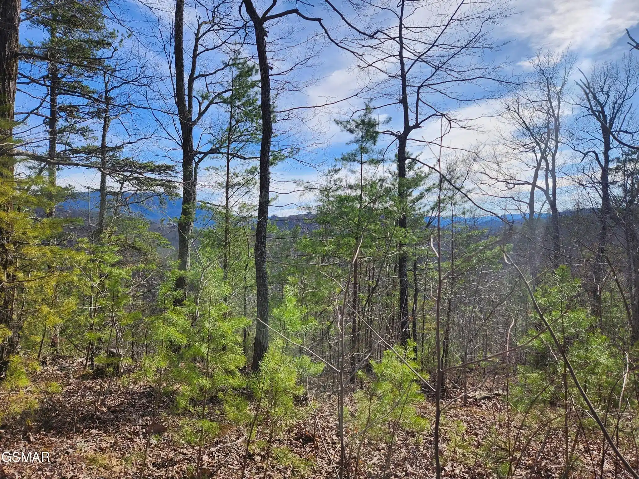 Image 1 Image 1