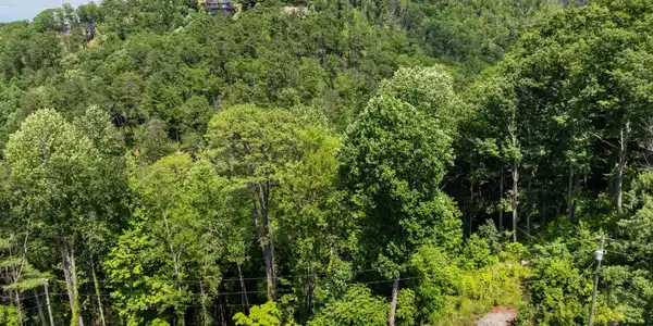 3278 Emerald Springs Loop