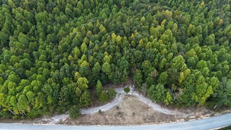 4439 Old Hohenwald Rd