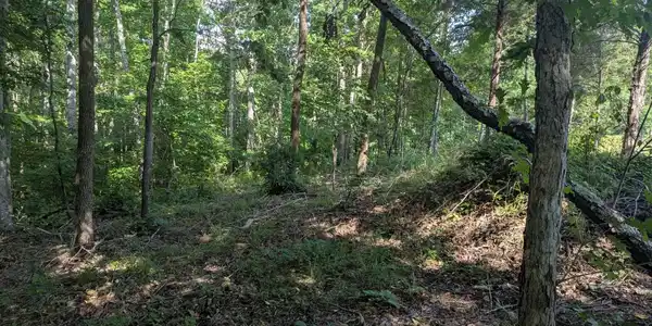 Image 3 Image 3