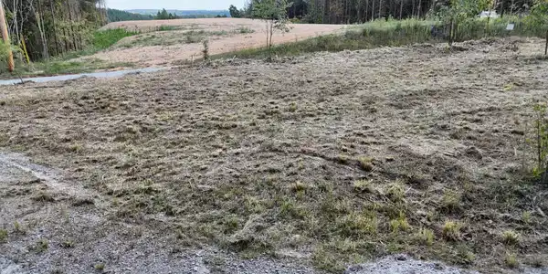 Image 4 Image 4