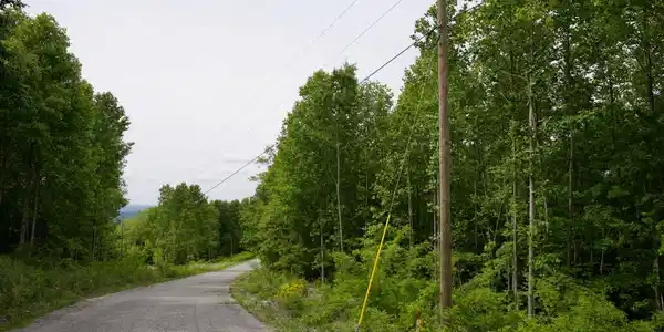 Image 2 Image 2