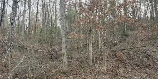 Image 4 Image 4