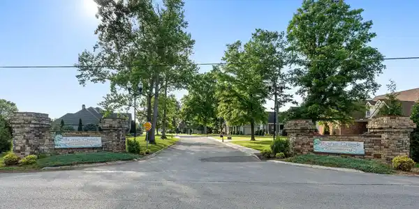 Image 4 Image 4