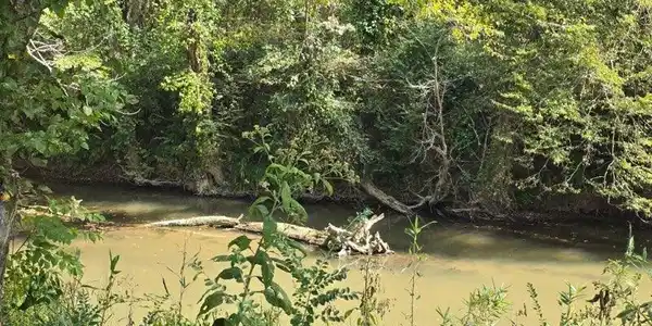 Image 4 Image 4