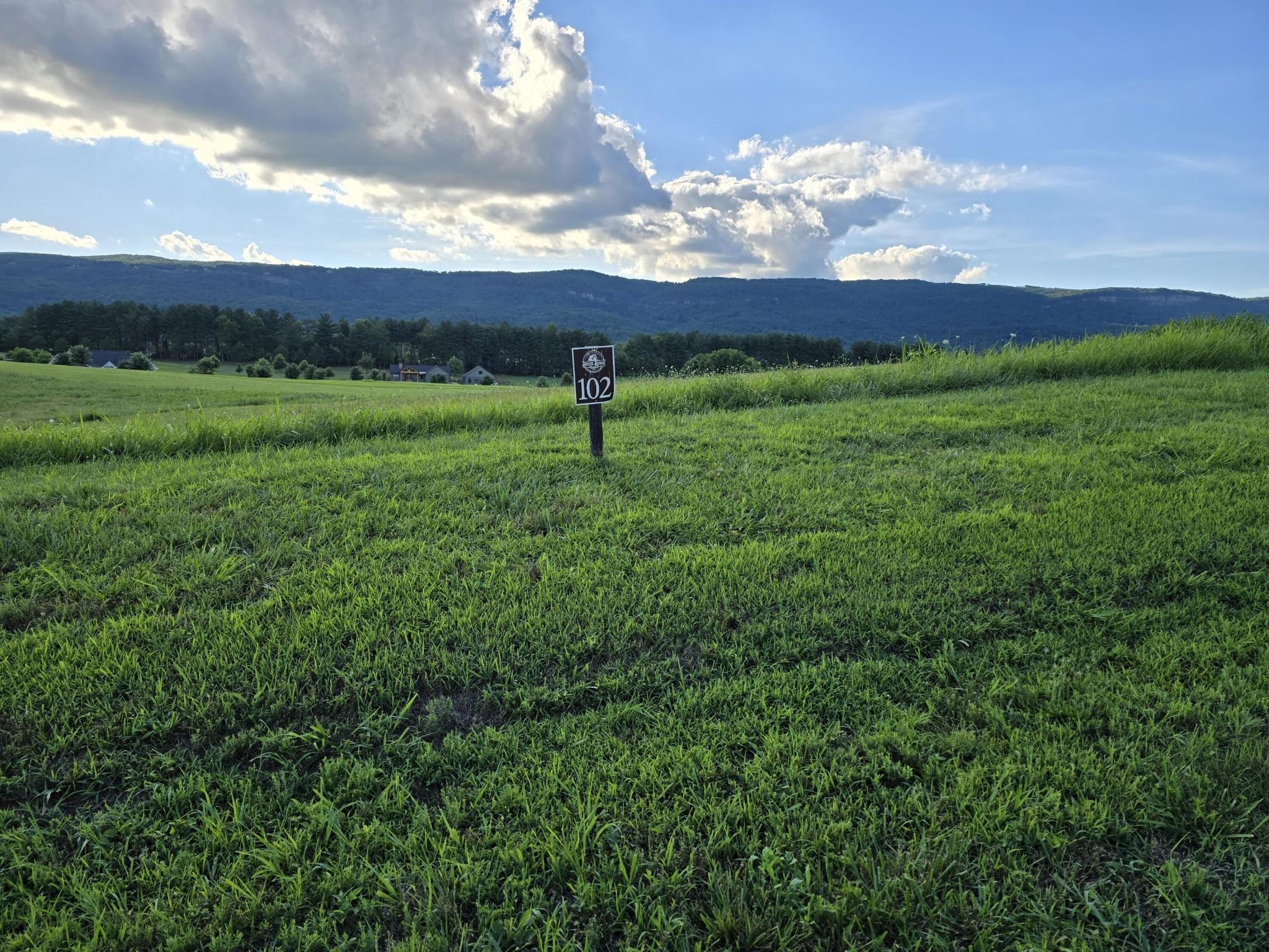 Image 1 Image 1