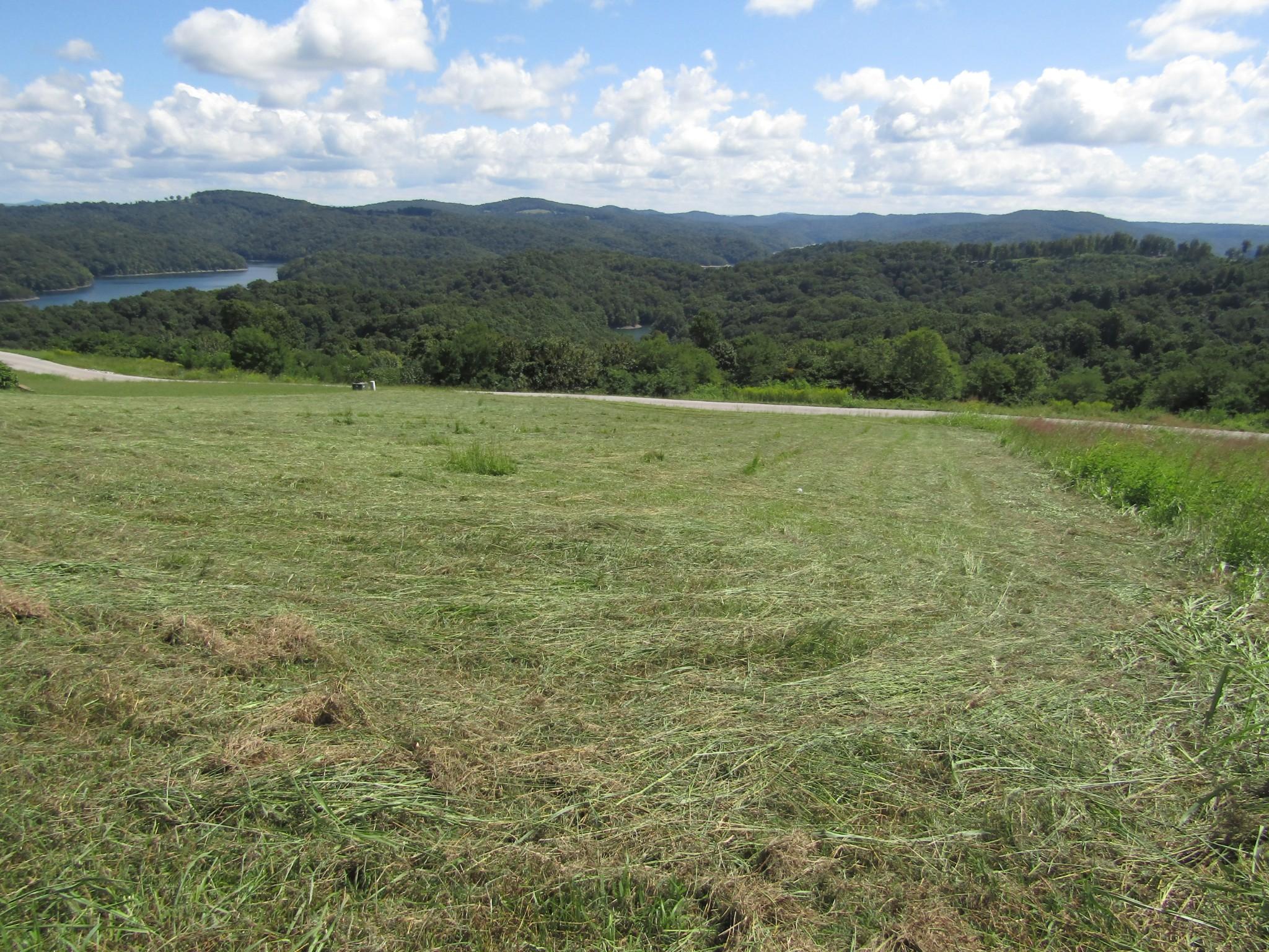 Image 4 Image 4