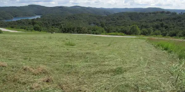 Image 4 Image 4