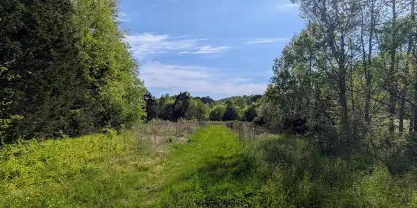 0 Ladd Springs Road