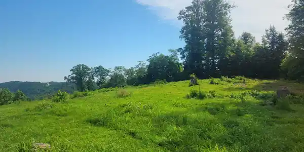 Image 4 Image 4