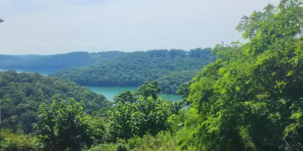 Image 2 Image 2