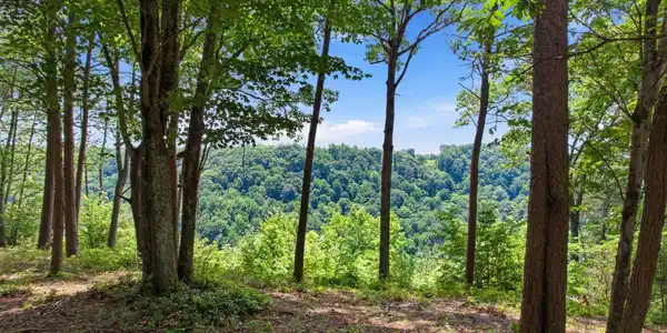 321 Timberwood Trce