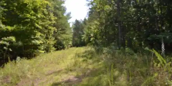 Image 4 Image 4