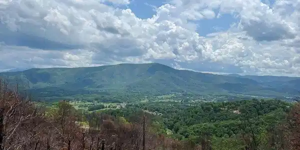 2518 Hatcher Mtn Road