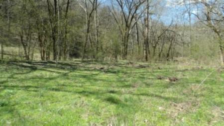 78 ac Baugh Hollow Rd