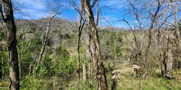 Image 4 Image 4