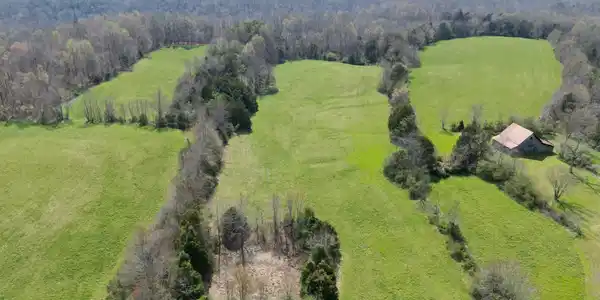 Image 2 Image 2