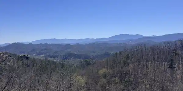 100 Laurel Cove Trail