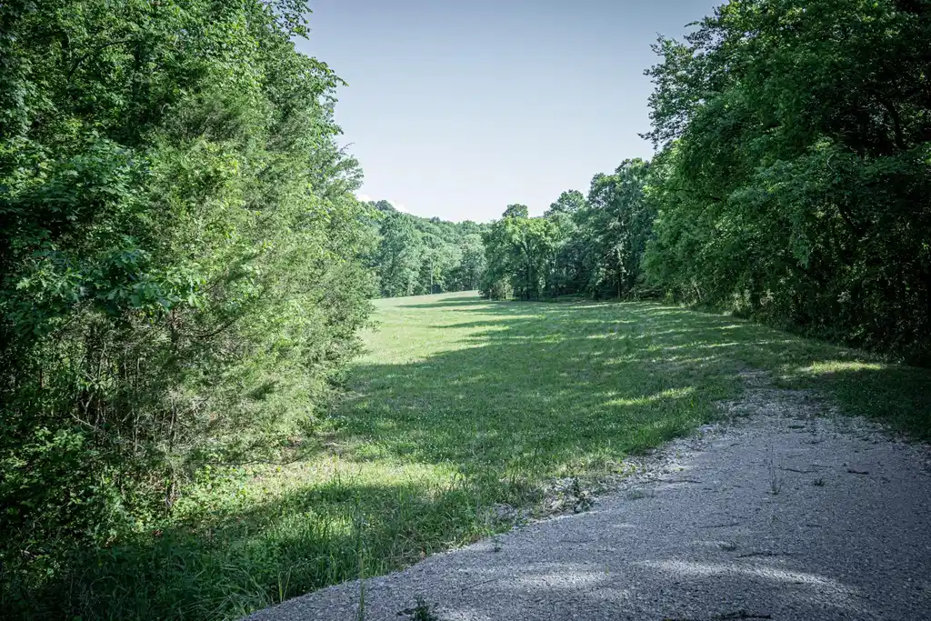 Image 1 Image 1