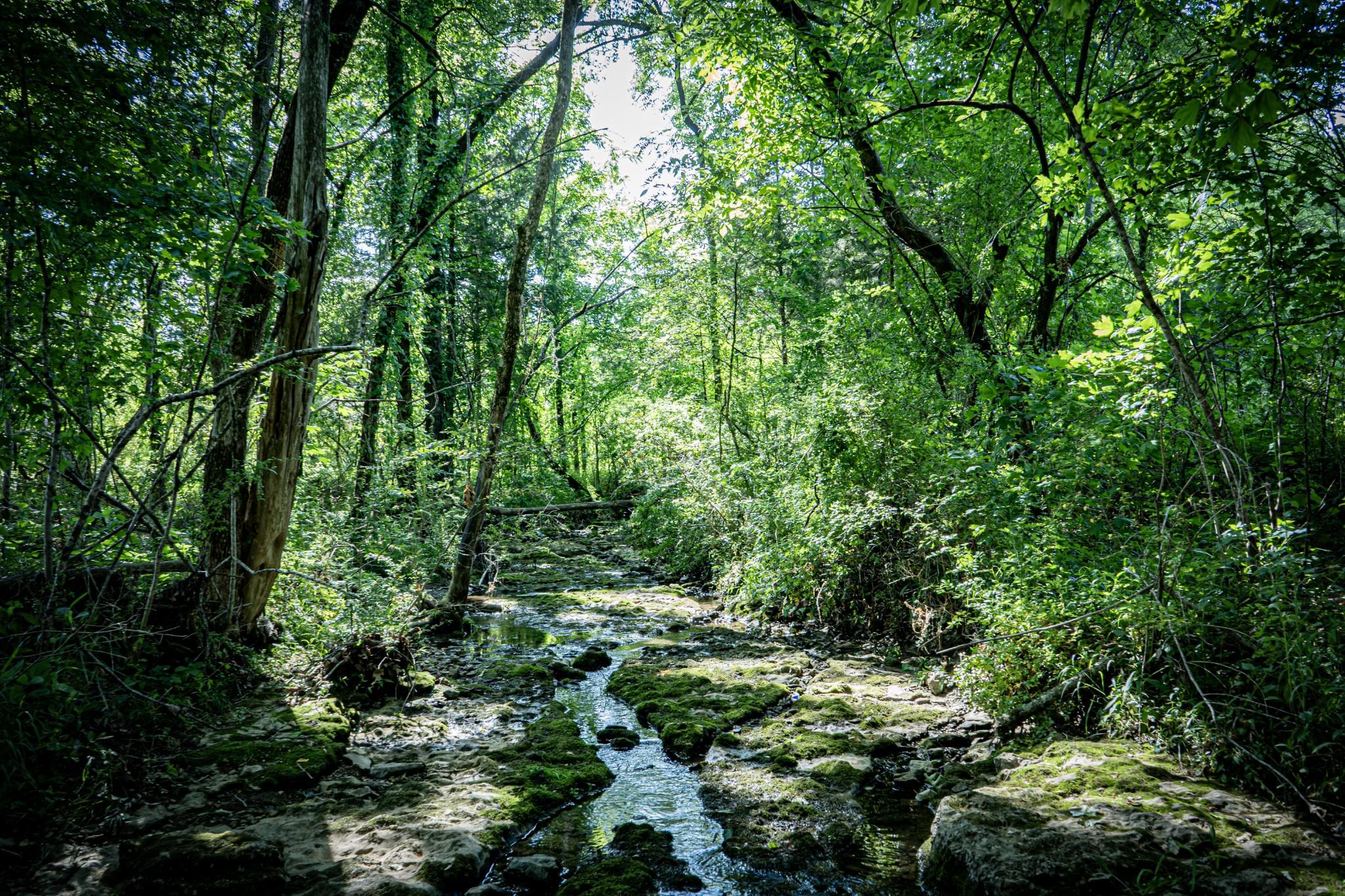 Image 3 Image 3