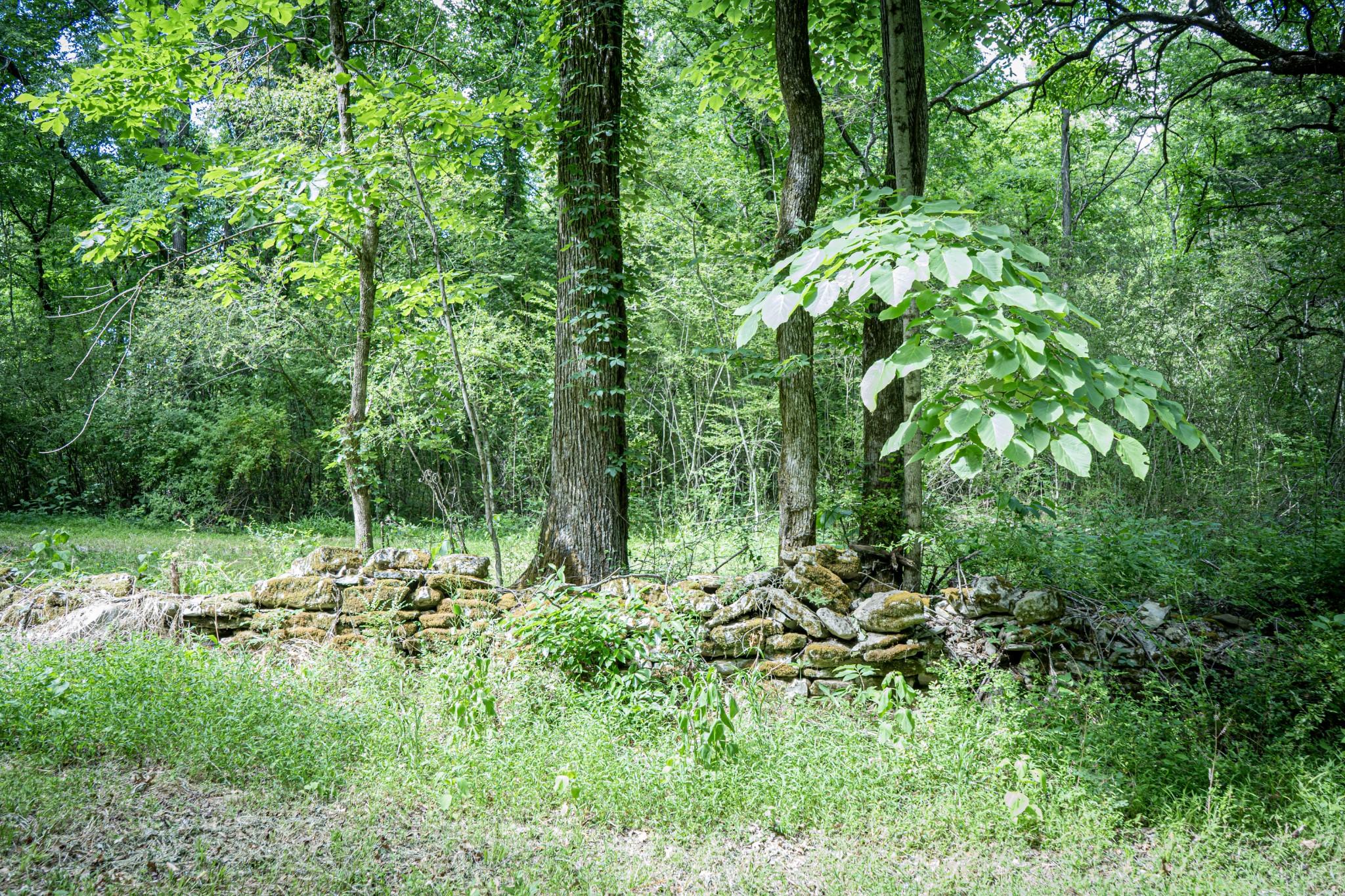 Image 4 Image 4