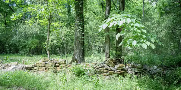 Image 4 Image 4